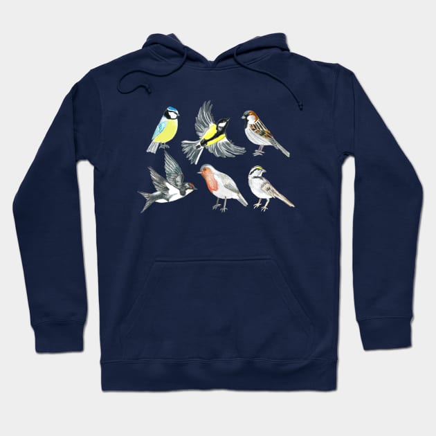 Illustrated Birds - Version 2 Hoodie by tangerinetane